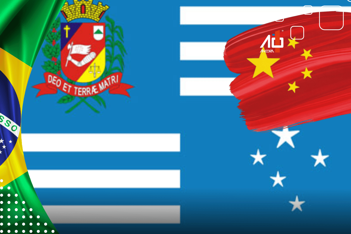 Descrição da imagem