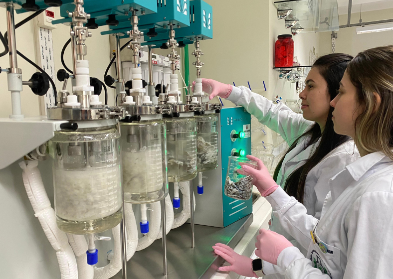 Descrição da imagem