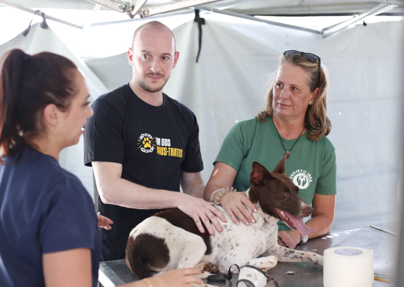 Descrição da imagem