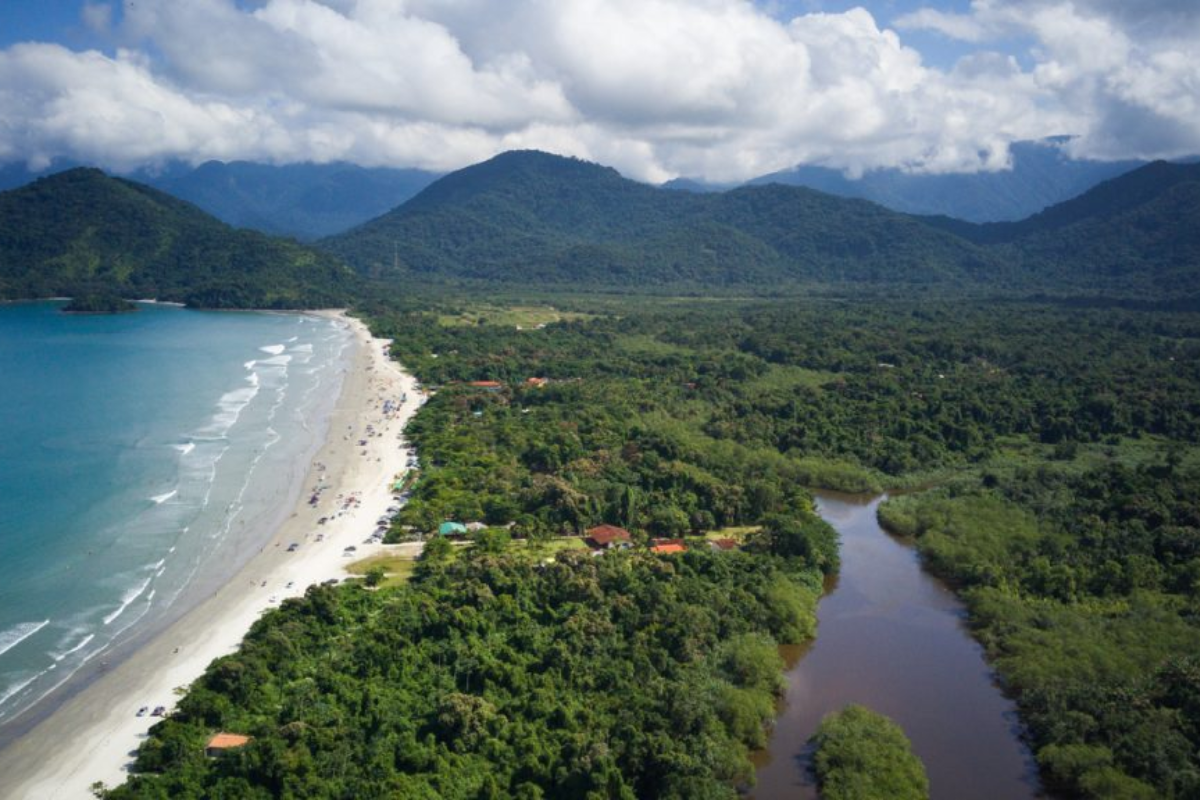 Descrição da imagem