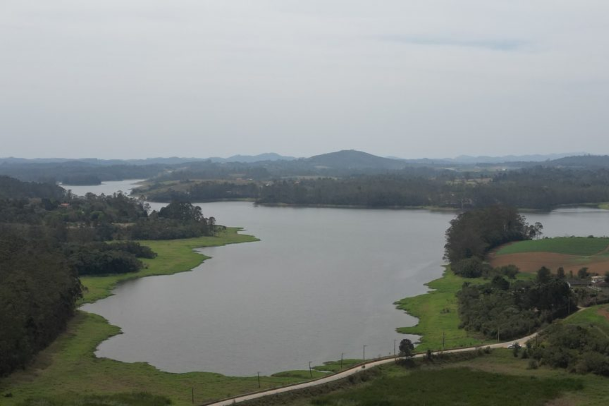 Descrição da imagem