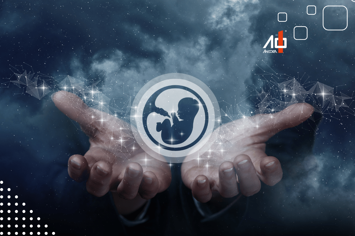 Descrição da imagem