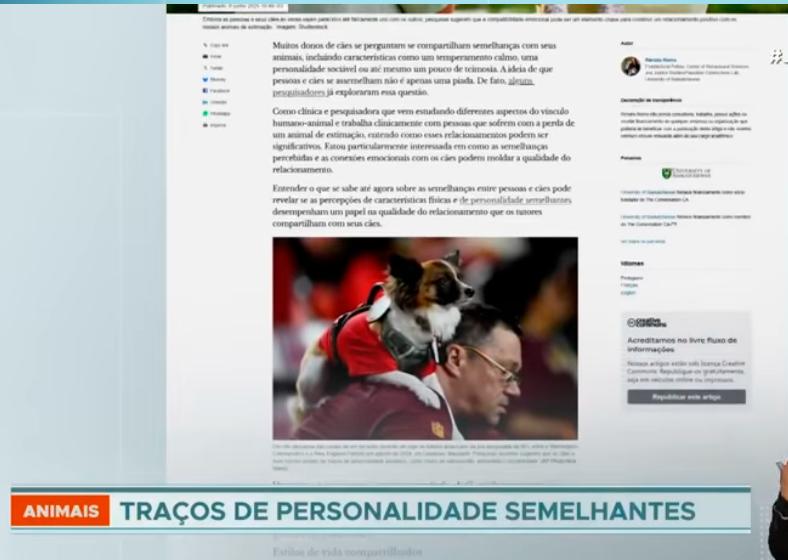 Cachorros e tutores podem compartilhar tipos de personalidade, dizem estudos
